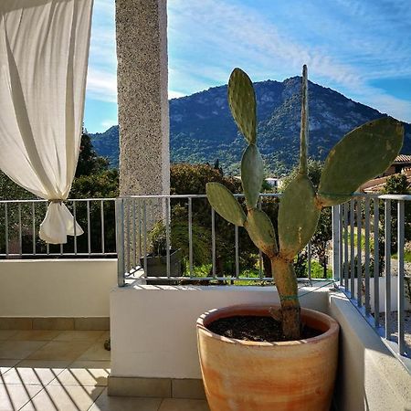 B&B Limone San Teodoro  Exterior foto